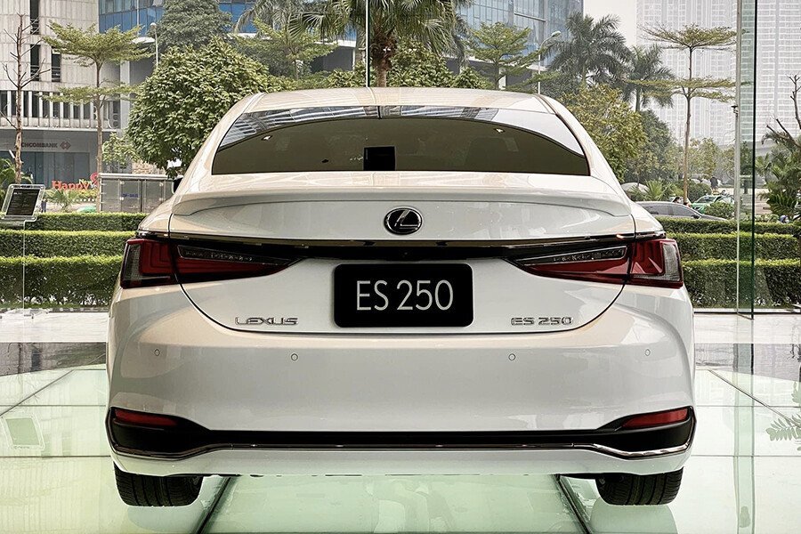 Lưu nháp tự động