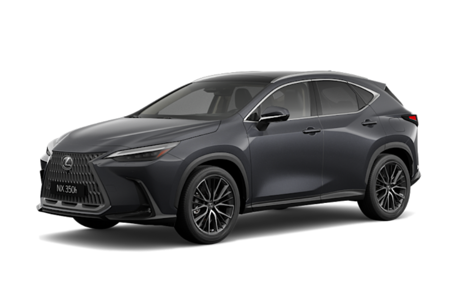 icon nx350h (3)