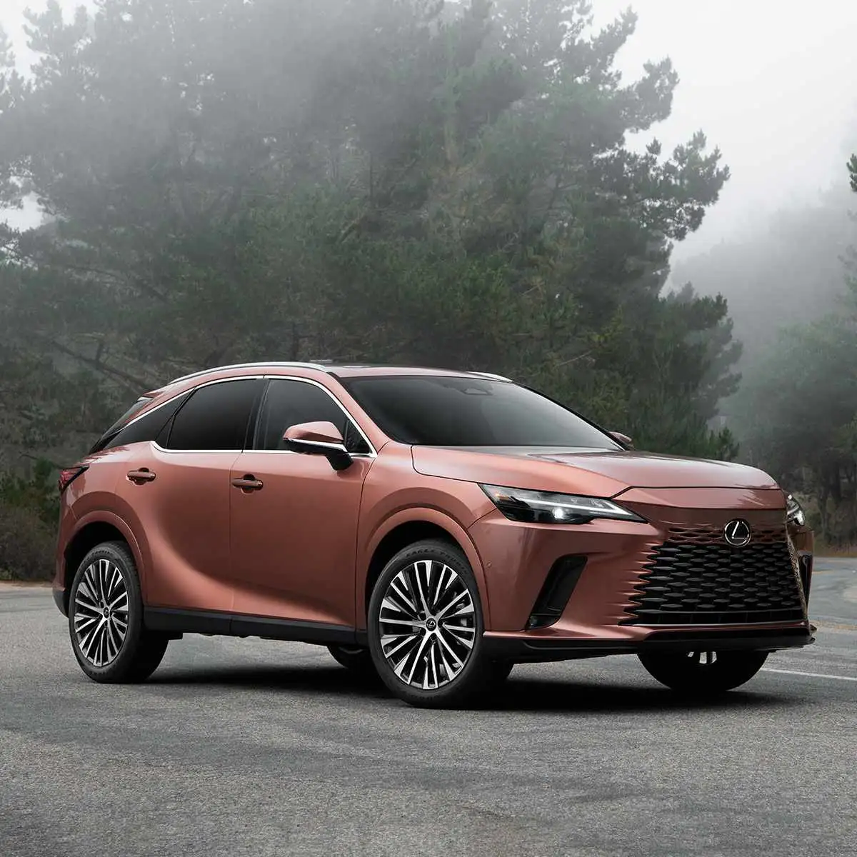 Lexus RX350 2026 Việt Nam: Khám Phá Chi Tiết 4 Phiên Bản và Giá Bán Mới Nhất