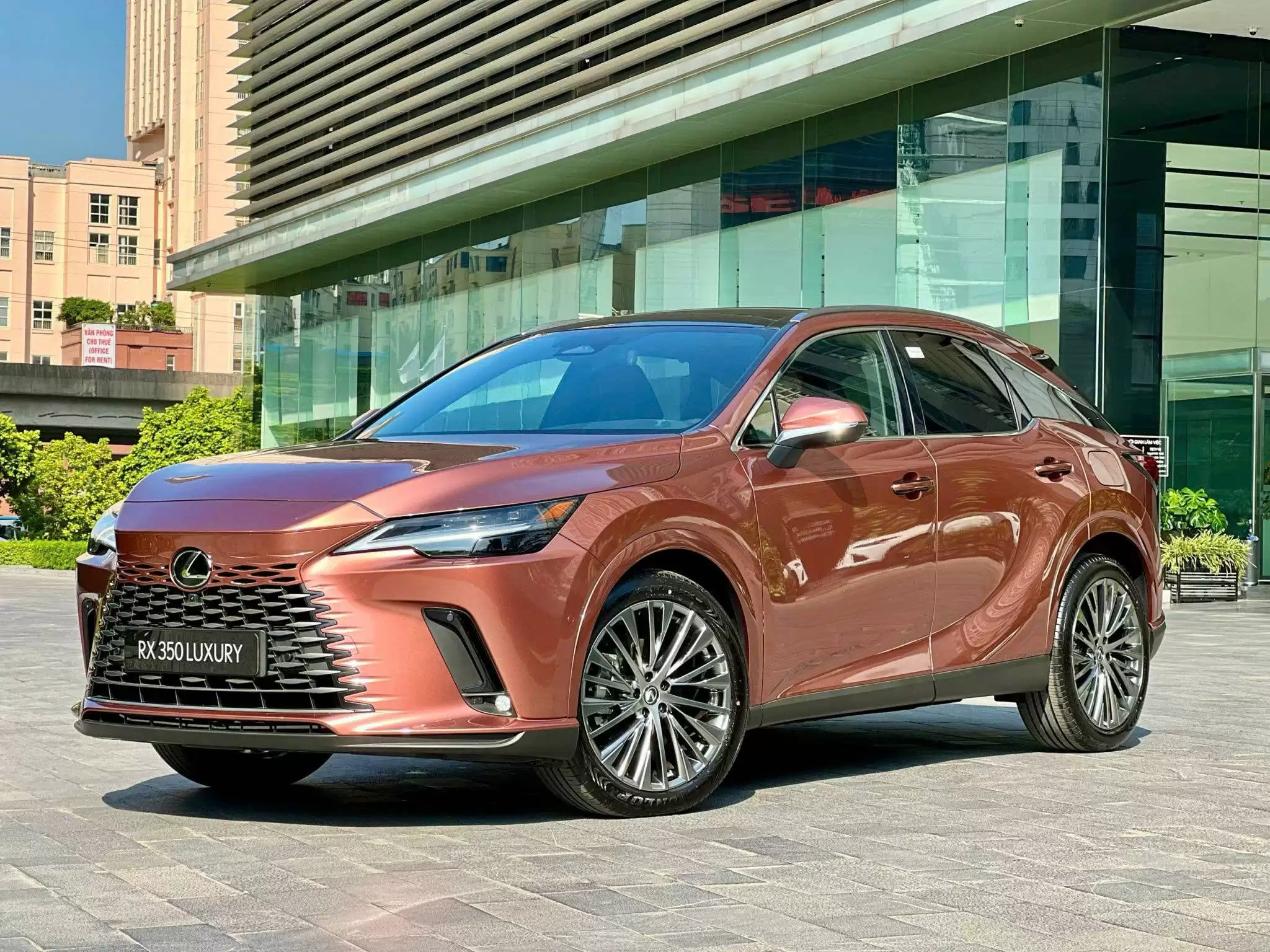 lexusphamhung-vn-15